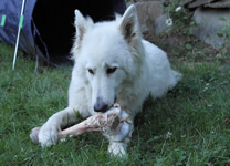 noch ein tolles Geschenk